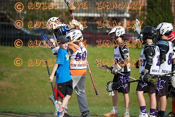 Team